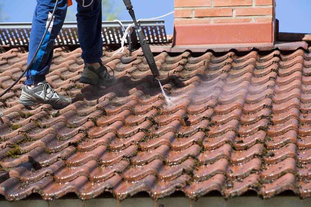 Nassau County gutter cleaning
