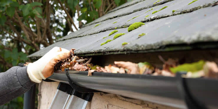 The advantages of consistent gutter and roof maintenance